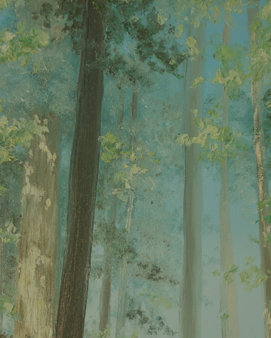 Descrizione Immagine